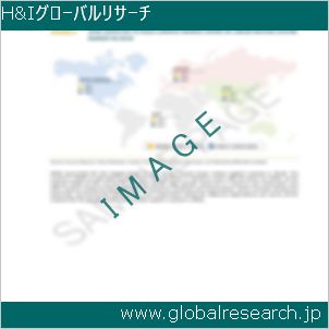 グローバルリサーチ調査レポートのイメージ